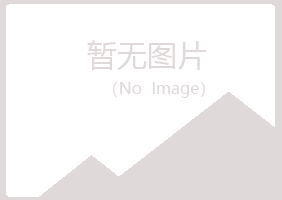 罗山县夜山咨询有限公司